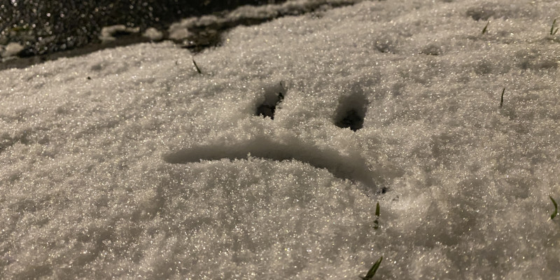 Paul ist gegen... Homeschooling