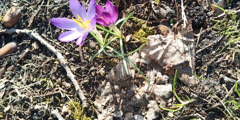 Sophie ist...dankbar